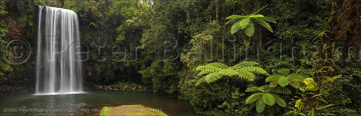 Peter Bellingham Photography Milla Milla Falls - QLD (PBH4 00 16941)